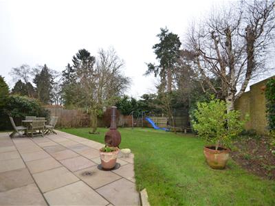Picture 20